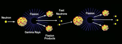 Schematic Representation Of Uranium Nuclear Fission Chain Reactions In