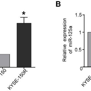 Mir B Is Upregulated And Mir A Is Downregulated In Radioresistant