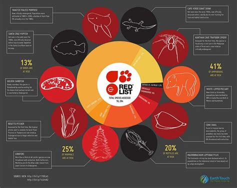 Iucn Infographic Species Infographic Endangered Species