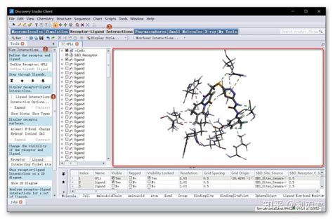 分子模拟软件discovery Studio教程二：精准的分子对接技术 知乎