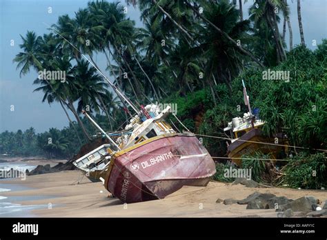 Images From The Aftermath Of The Boxing Day Tsunami In Sri Lanka On The