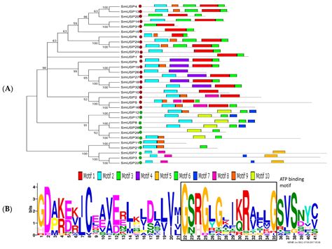 Genes Free Full Text Functional Characterization Of Selected