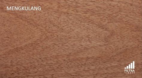 Philippine Wood Species Rosewood Mahogany Beech Yakal Teak Oak