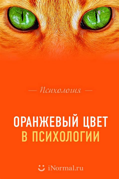 Оранжевый цвет в психологии | Оранжевый интерьер, Оранжевые стены ...