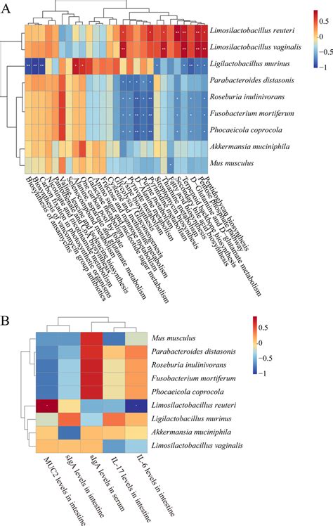 Spearman Correlation Analysis Heatmap Blue Represents Negative Download Scientific Diagram