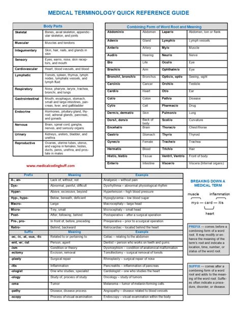 The Medical Term And Quick Reference Guide Is Shown In This Document