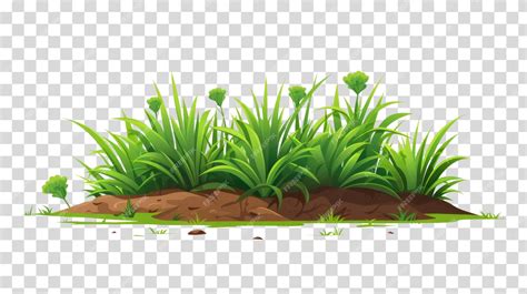 Premium PSD | Grass border Trending HD wallpaper 8K4K2K wallpaper