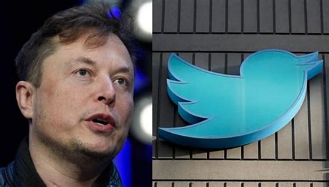 Twitter Détruit Elon Musk Et Tesla