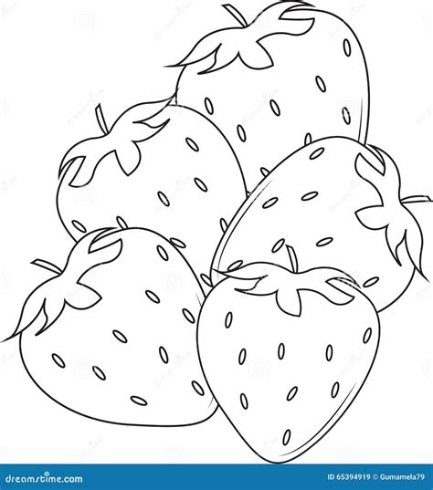 Strawberries Stock Illustration Image 65394919