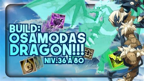 Build Osamodas Forme Draconique Pour Bas Level Lvl Wakfu