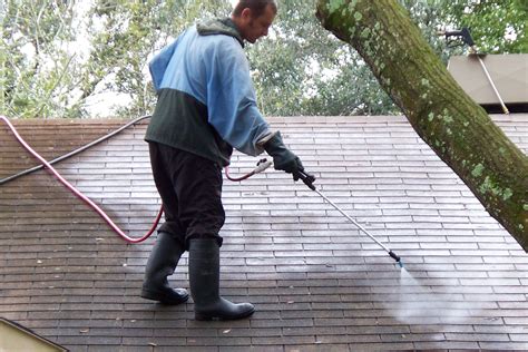 Chemical Roof Cleaning Amazingly Clean Inc Check Specials