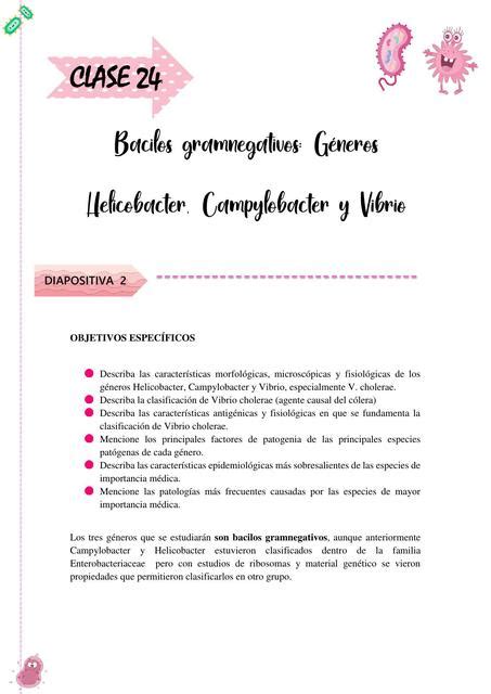 Bacilos Gramnegativos Helicobacter Campylobacter Y Vibrio Medstdnlife