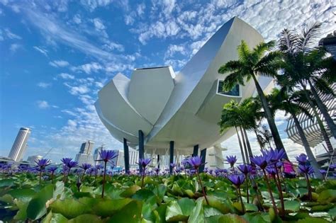 Best Art Museums and Galleries to Visit in Singapore