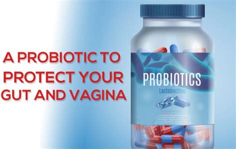 Lactobacillus Gasseri Probiotic