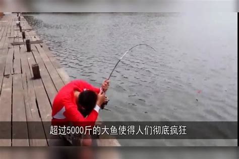 男子黑坑钓获50斤重的大鱼，累得跪在地上溜鱼，上岸后乐坏了