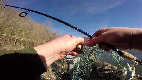 Pre Spawn Smallmouth Fishing Youtube