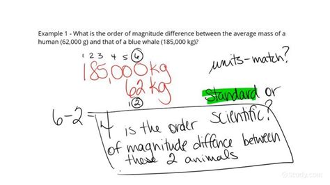 Magnitude Physics Example