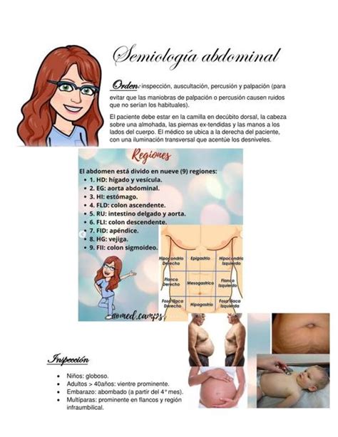 Semiologia Del Abdomen Busca Y Descarga Apuntes Gratis Udocz Free