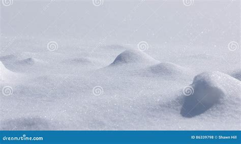 backgrounds small snowy landscape stock photo image  mini snow