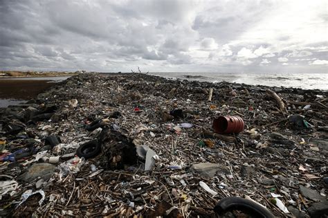 Ecomafie 95 Reati Ambientali Al Giorno Anche Durante Il Covid Il