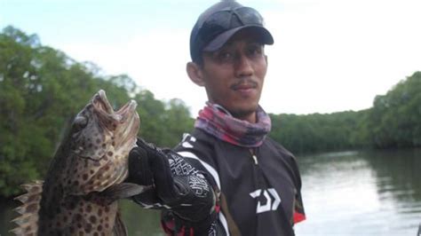 Sensasi Strike Ikan Predator Sungai Padang Mantap Posbelitung Co