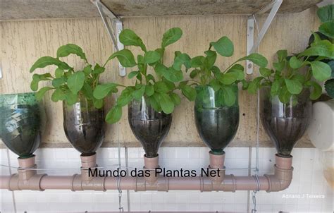 Mundo das Plantas 3 Como fazer uma Horta Garrafas Pet Irrigação