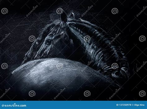 Friesian Horse White Pencil Drawing on Black Paper Portrait in Vector Format Stock Vector ...