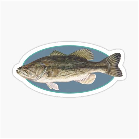 Largemouth Bass Sticker Sticker For Sale By Futurebeachbum Redbubble