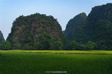 Tam Coc Boat Tour: Best Viewpoint, Prices, & Tips