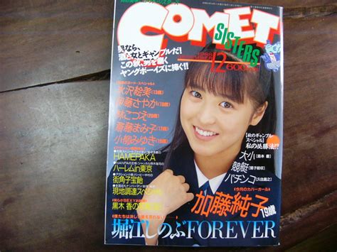 【傷や汚れあり】【a 4懐古絶版雑誌】comet Sisters コメットシスターズ 1988 9 白夜書房 小川さとみ 納涼美少女57人