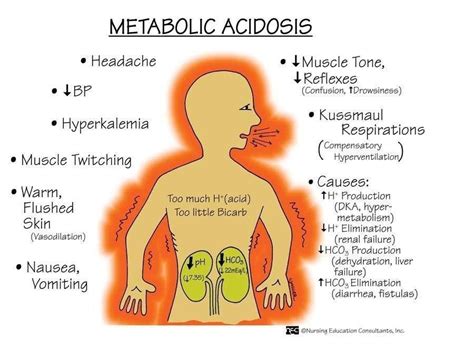 Metabolic Acidosis | Nursing School | Pinterest | Nurses and Metabolic acidosis