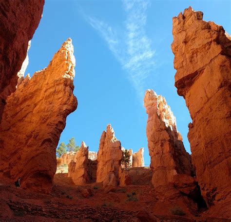 Download Bryce Canyon National Park Navajo Loop Trail Wallpaper