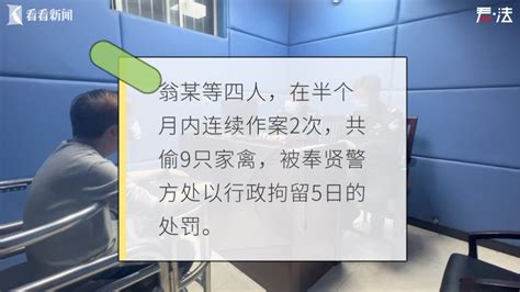 真偷鸡贼！半个月偷走9只土鸡，全吃了看看新闻网