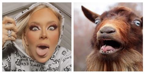 A screaming goat. : r/wtfjennajameson