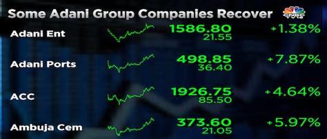 Some Adani Group Stocks Recover From Lows After Market Cap Drops Below