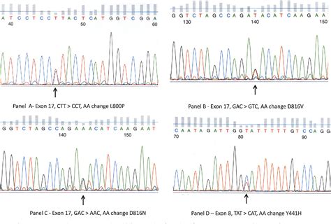 Figure 2 From Characterization Of Bone Marrow Mast Cells In Acute