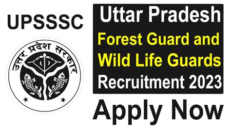 Up Forest Guard Recruitment Apply Now Upsssc Gov In Ds Helping