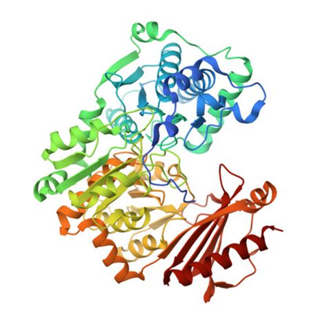 RCSB PDB - 3OLP: Crystal structure of a bacterial phosphoglucomutase ...