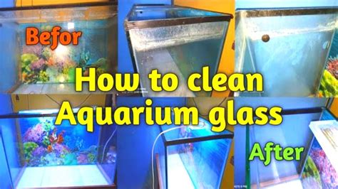 How To Clean Aquarium Glasshard Water Stains Youtube