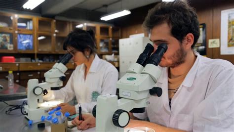 Universidad De Antioquia On Twitter El Presupuesto De Ciencia Para