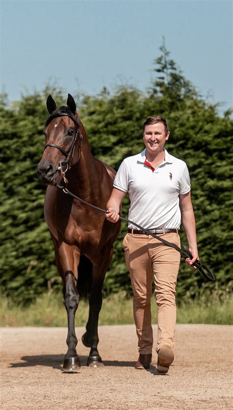 Leading New Zealand Horse Trainers Kingsclere Stables