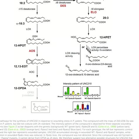 A Simplified Model Of Ja Ile Perception And Signaling Via The Scf