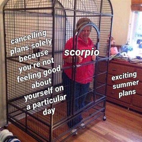 28 Scorpio Memes That Are Painfully Accurate Our Mindful Life