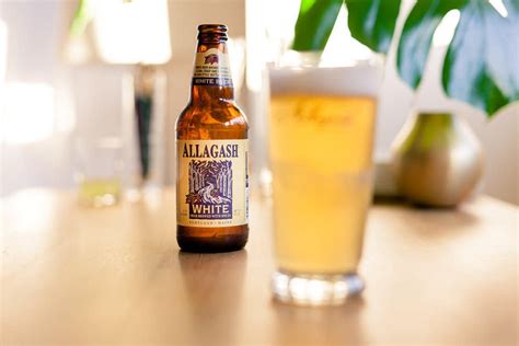 Top 10 Best Beer Brands for Summer To Keep You Cool