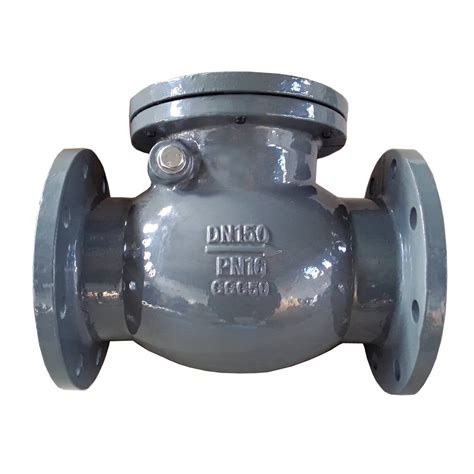 ANSI 150 ANSI 2500 API Cast Steel Wcb Swing Check Valve Double Flange