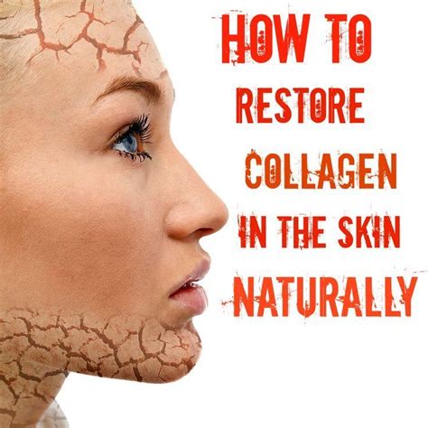 How To Restore Collagen In The Skin Naturally Bb Beauty Beauty Care