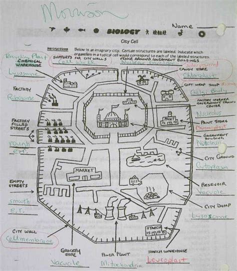 Plant Cell City Analogy