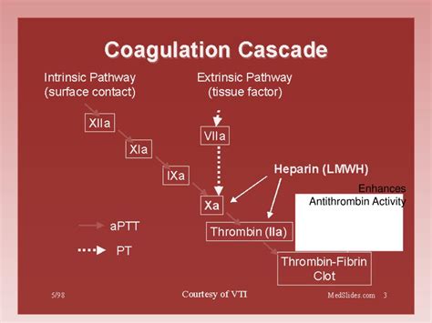 Ppt Anticoagulant Powerpoint Presentation Free Download Id2289208