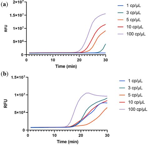 A Real Time Fluorescence Signal For The Amplification Of Synthetic Download Scientific