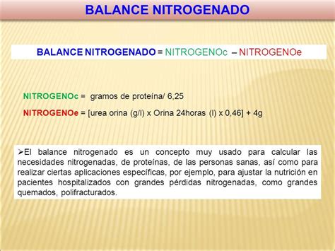 Metabolismo De Los Amino Cidos Esquema General Del Metabolismo De